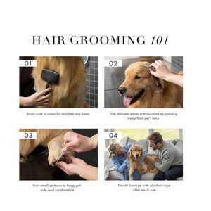 Ciseaux de toilettage pour animaux de compagnie en acier inoxydable à pointe fine pour la coupe et l'éclaircissement du pelage des chiens et des chats - Product Image 5