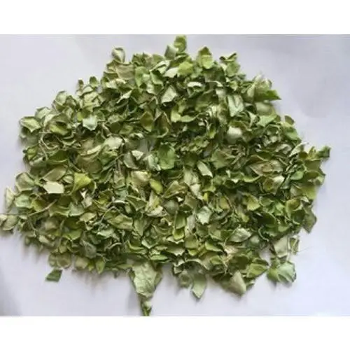 Té de hierbas de Moringa, hojas secas de Moringa para té, té de Moringa de VietNam, gran oferta