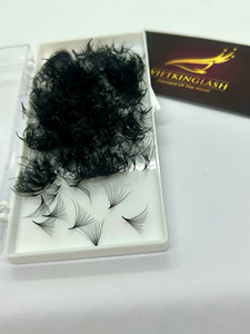 Extensions de cils pré-fabriquées Promade 0.03/0.07 à base pointue, tiges longues et courtes, longueur 8-25mm, volume facile à poser - Product Image 2