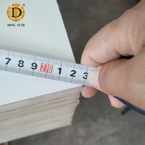 Hoja laminada Hpl <span class=keywords><strong>blanca</strong></span> de Dongstar/contrachapado laminado de <span class=keywords><strong>Formica</strong></span> HPL/contrachapado HPL ignífugo - Product Image 4