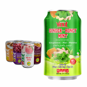 Gingembre Miel Soursop 330ml Boisson au jus 24 canettes carton sans sucre OEM ODM Marque privée Échantillon gratuit Tropical - Product Image 1