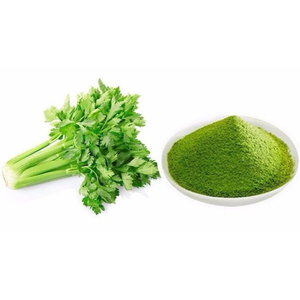 Poudre de céleri pure GreenVital - 100% biologique, qualité alimentaire, superaliment pour la détox quotidienne, le soutien du poids et un coup de pouce optimal pour la santé (Vietnam) - Product Image 5