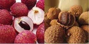 Lichi seco Premium de Vietnam ofrecido a granel para compradores globales que buscan precios al por mayor baratos - Product Image 4