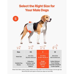 Pannolini Monouso Super Assorbenti per Cani Maschi, Fascia Addominale a 360 Gradi Anti-Perdita con Indicatore di Umidità, Fascia Protettiva per Cani - Product Image 2