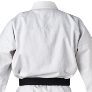 Best Quality Pakistan Made Taekwondo Uniform/Martial Arts Suits Wholesale Price Martial Arts Wear Karate Uniform OEM Serviced - Product Image 5