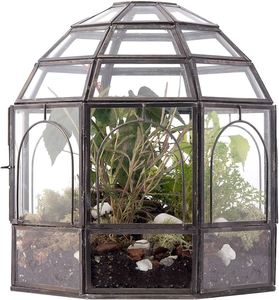 Petit pot de fleurs moderne en verre noir pour table, support pour plantes aériennes, boîte de présentation, conteneur pour plantes succulentes et mousse, centre de table DIY - Product Image 2