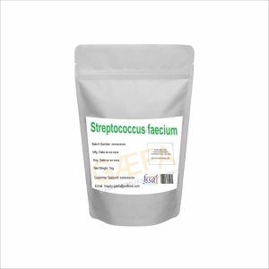 Poudre de Streptococcus Faecium, lieu d'origine IN;34648 - Product Image 3
