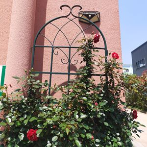 Set di 2 tralicci da giardino in metallo antiruggine da 220 cm x 50 cm per piante rampicanti, supporto per fiori da esterno - Product Image 3