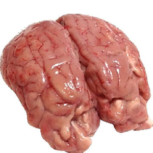 Cerveau de bœuf halal congelé, viande de cerveau bovin, entrailles de bœuf de haute qualité, fournisseur en gros - Product Image 4