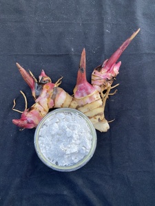 Almidón de Arrowroot de la Mejor Calidad, Harina Blanca en Polvo, Tipo Nativo de Vietnam - Product Image 3