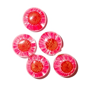 Flor de Daisy Fleabane, Espécimen Real en Cabujón de Plástico Redondo de 19x19 mm, Base Plana Transparente, Moderno, para Manualidades y Joyería - Product Image 6