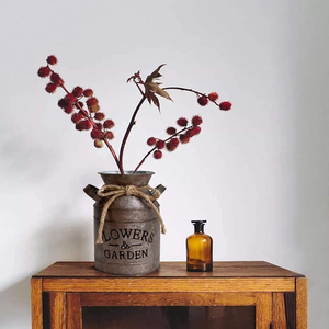 Shabby Chic Metal Flower <b>Vase</b> Rust Painted Decor Milk Can Bucket Country Primitive Jug Farmhouse Decoration <b>Small</b> planter pots - Product Image 2