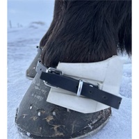 Rub International – Meilleures protections de luxe personnalisables et durables en cuir et caoutchouc pour les tendons des jambes de cheval