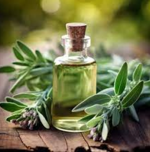 Aceite Esencial de Salvia Sálvia en Granel a Precio de Fábrica, Aceite Esencial de Salvia Sálvia 100% Puro y Natural - Product Image 3