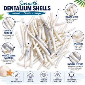 Natural Smooth White Dentalium <b>Shell</b> Beads Polished Tubular Craft Jewelry Making Supplies Bulk Wholesale - Product Image 6