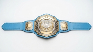 Ceinture de championnat de lutte personnalisée en métal, trophée sportif plaqué or et argent, design personnalisé - Product Image 4