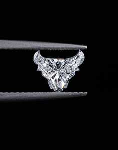 <b>Rabbit</b> Cut Lab Grown Diamond: 1.00CT DEF /VS1 Loose CVD Diamond SHRILIKE JEWELS - Product Image 4