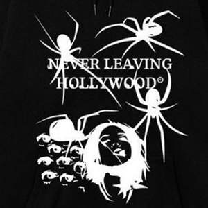 Sweat-shirt à capuche décontracté ODM Hiver 2026 pour hommes et femmes, style gothique, grande taille, imprimé araignée, en polaire écologique avec poche - Product Image 6