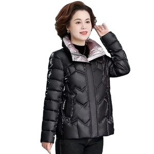 Veste matelassée North personnalisée pour femmes et hommes, col montant, capuche, imperméable, coupe-vent, rembourrage en polyester, respirante, devant - Product Image 1