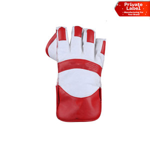 Gants de gardien de but en cuir pour le cricket avec système de ventilation et poignées antidérapantes – Confort optimal pour les matchs d'été – Ajustement anatomique des doigts - Product Image 1