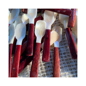Cuillère en coquillage naturel, cuillère en coquillage artisanale pour les fournitures d'hôtels et de restaurants - Product Image 2
