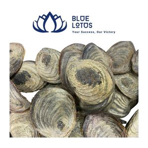Extracto de Fragancia de Operculum de Murex Puro y Sostenible de Alta Calidad, Material para Incienso, Precio al por Mayor, Vietnam - Product Image 1