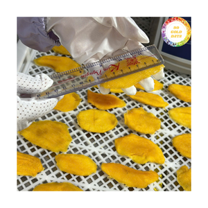 Selected Dried Soft Mango From Vietnam For Global Snack Importers And Designing Unique Fruit Gift Packs 99 Gold Data - Product Image 2