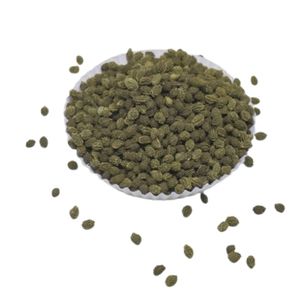 Producto Más Vendido, Semillas de Papaya BCA, Alta Tasa de Germinación, Calidad Premium, 100% Semillas Originales de Indonesia, 6 Meses de Vida Útil - Product Image 4