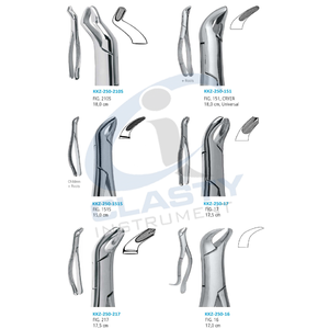 Pinzas de Extracción de Acero Inoxidable Duraderas de Alta Calidad, Herramientas Dentales Profesionales Manuales de Clase I, Instrumentos para Uso Clínico - Product Image 4