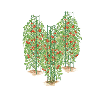 Ensemble de supports pour plantes de tomates, lot de 3