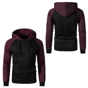 Sweat-shirts à capuche pour hommes à prix avantageux, 100% coton molletonné, couleurs personnalisées, écologiques, respirants, de haute qualité, vente chaude, confortables - Product Image 3