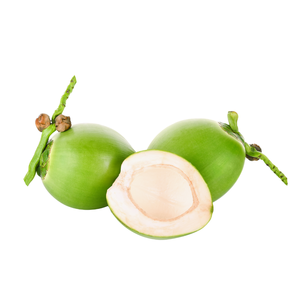 Cocos Verdes Orgánicos Frescos de Grado A con Cáscara Entera y Agua de Coco Dulce, Ben Tre, Vietnam, Suministro al por Mayor - Product Image 1