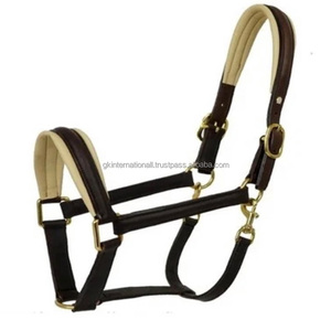 Fancy Stitched <b>Padded</b> Leather Horse Halter Adjustable Double Crown Brass Buckle Anatomical Halter Horse - Product Image 2