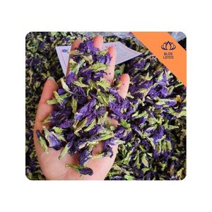 [ALTA CALIDAD] |   Flor de Mariposa Seca al por Mayor para Exportación, para Preparar Té y Mezclar Bebidas, Vietnam - Product Image 1