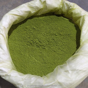 Poudre de Moringa oleifera pure 100% d'Inde - Product Image 4