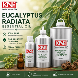 Aceite Esencial de Eucalipto Radiata 100% Puro, Destilado al Vapor, para Aromaterapia, Kanha Nature Oils, Grado Superior, Fabricante a Granel, Distribución Mundial - Product Image 3