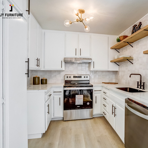 Conjunto de armario de cocina de madera modular personalizado JY Vietnam estilo europeo RTA Shaker armarios sin marco bisagra de mármol contra salpicaduras - Product Image 6
