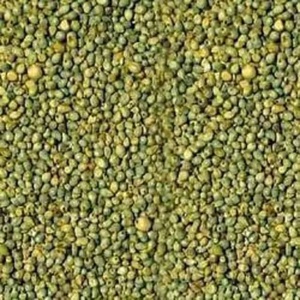 Bulk Indian Yellow <b>Millet</b> Safed Matar 100% Natural High Quality Freshly Cultivated Organic Glutinous - Product Image 4