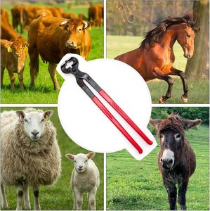 Cortauñas para Caballos, Cortauñas de 16 Pulgadas para Recortar Pezuñas, Cortauñas para Caballos, Ovejas, Cabras, Alpacas, Veterinarios - Product Image 5