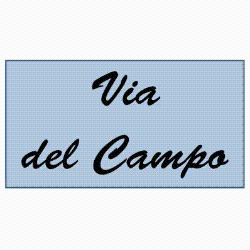 VIA DEL CAMPO logo