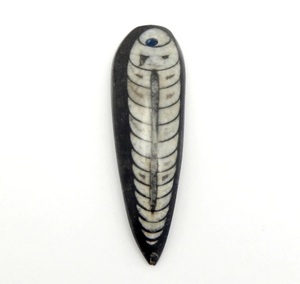 Top Drilled Orthoceras Long Pear Shape Teardrop Cabochon to make wire wrap pendant <b>locket</b> macrame jewelry - Product Image 3