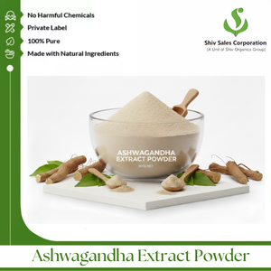 Suministro a Granel de Extracto de Ashwagandha en Polvo para la Fabricación Nutracéutica a Gran Escala - Product Image 2