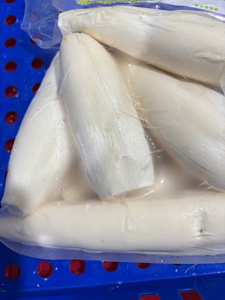 Fabricante Vietnamita de Raíz de Yuca Congelada, Yuca Tapioca Fresca Congelada Natural, Venta al por Mayor a Granel, Exportación Directa de Fábrica - Product Image 4