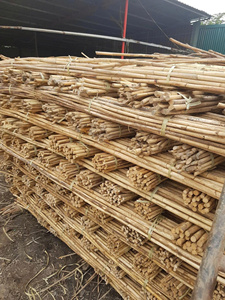 Poteaux de bambou naturels vietnamiens ronds de 2 m de long pour meubles, artisanat, tissage, Quang Binh - Product Image 6