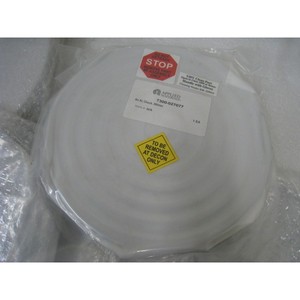 AMAT 7300-027077 ชัค, 300 มม., An AI, 400558 - อุปกรณ์และชิ้นส่วนเซมิคอนดักเตอร์มือสองระดับโลกที่เชื่อถือได้ที่ - Product Image 2