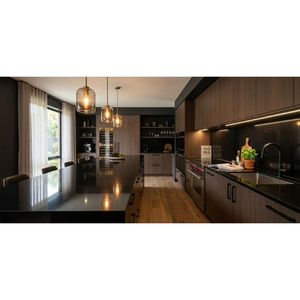 Granito Negro Absoluto para Encimeras de Cocina de Primera Calidad, Pisos y Proyectos Arquitectónicos - Product Image 5