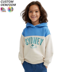 Sudadera con Capucha Personalizada con Logotipo, Ropa de Moda Unisex para Niños, Conjuntos Deportivos para Niños, Sudaderas Lisas de Algodón 100% - Product Image 1