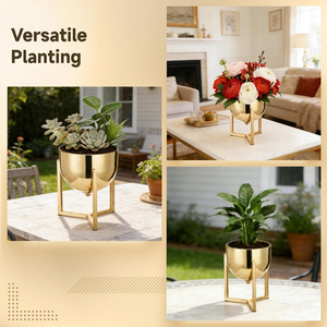 Macetero de Metal Dorado de Lujo con Soporte, Acabado de Latón Reflectante Moderno, Porta Macetas para Plantas de Interior, Sala de Estar, Oficina - Product Image 6