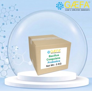 Probióticos Bioculture Bacillus Coagulans, Polvo Probiótico Resistente al Calor para Alimentos o Piensos - Product Image 2