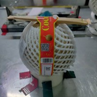 Wereldwijde export halfgeklopte kokosnoot vers van de boerderij, natuurlijk rijp tropisch fruit, premium kwaliteit, Vietnam, groothandel, bulk, container, set